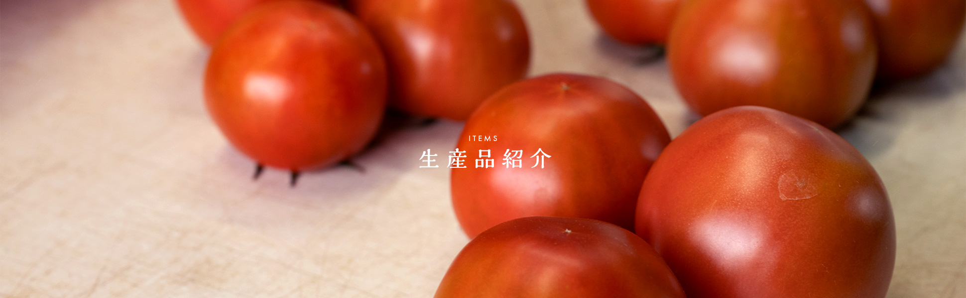 生産品紹介